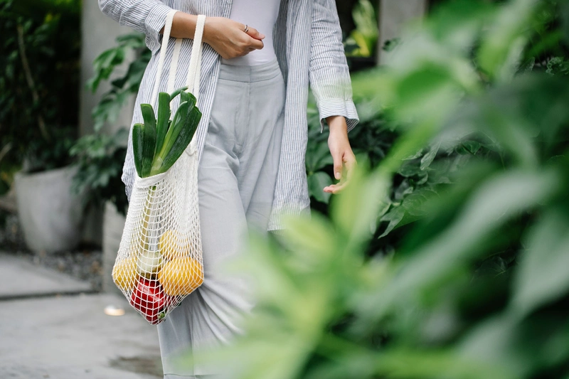 Eco Lifestyle